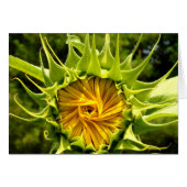 Fun yellow floral Sunflower (Front Horizontal)