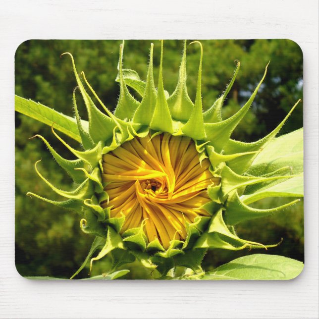 Fun yellow floral Sunflower Mouse Pad (Front)