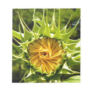 Fun yellow floral Sunflower Notepad