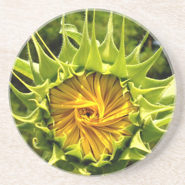 Fun yellow floral Sunflower Sandstone Coaster (Front)
