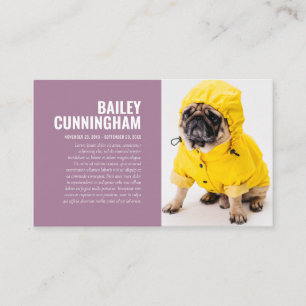 Funeral Memorial In Loving Memory Pet Photo Card