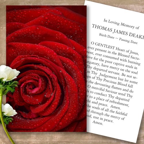 Funeral Red Rose Memorial Prayer Sympathy  Cards