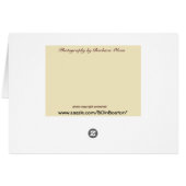 Fungi: Beauty in Nature Cards (Back Horizontal)