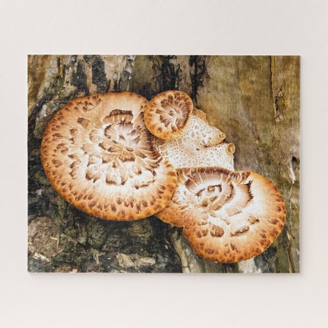 FUNGI  JIGSAW PUZZLE (Horizontal)