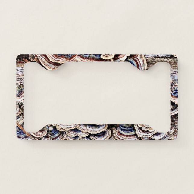 Fungi on Wood License Plate Frame (Front)