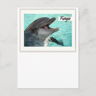 Fungie The Dolphin Postcard