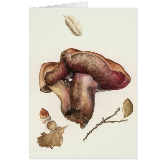 Fungus Cards (Front)