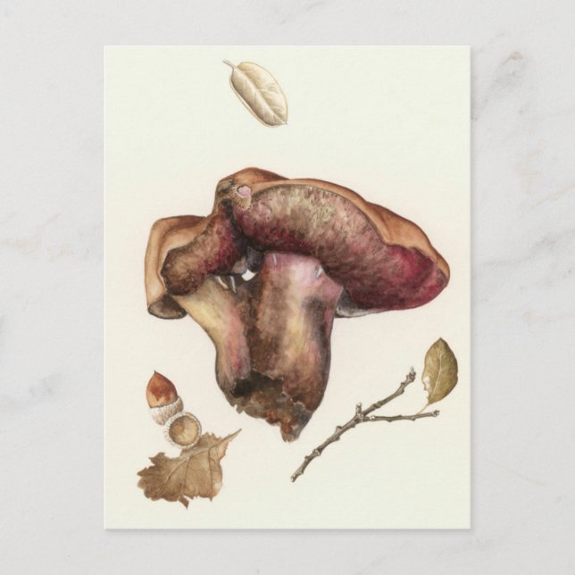 Fungus Postcard (Front)