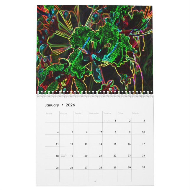 Funky 2011 Calendar (Jan 2026)