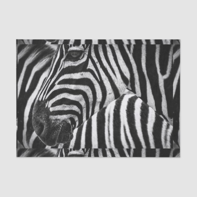 Funky Black and White Zebra Tissue Paper (Front)