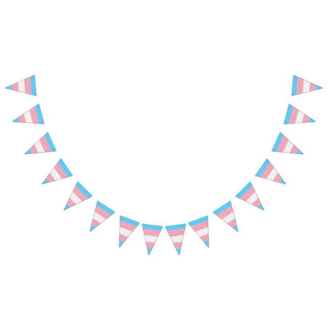 Funky Boho Stripe Abstract Transgender Pride Flag (All)
