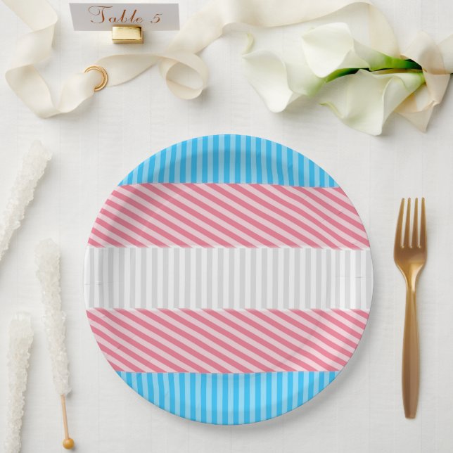 Funky Boho Stripe Abstract Transgender Pride Flag Paper Plates (Wedding)