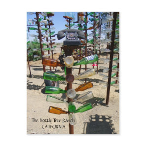 Funky Bottle Tree Ranch Postcard! Postcard