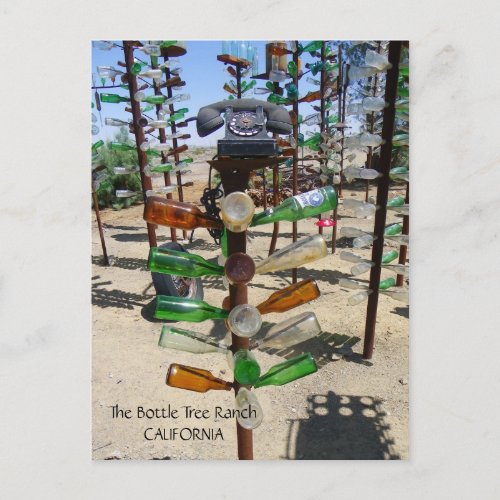 Funky Bottle Tree Ranch Postcard Postcard