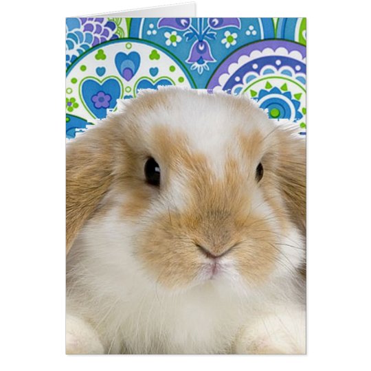 Funky Bunny Card