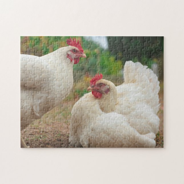 Funky Chicken Hen Hy-Line Silver Brown Jigsaw Puzzle (Horizontal)