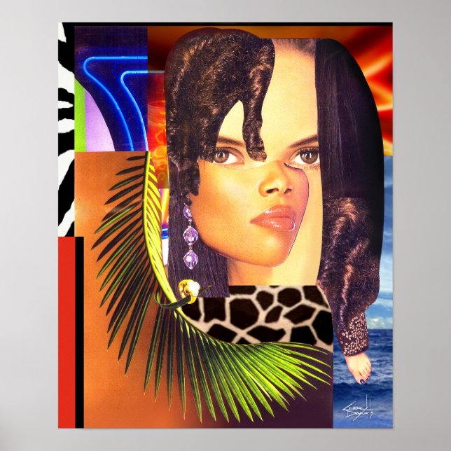 Funky Collage Poster Print 14" x 17" (Front)