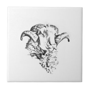 Funky Cute Merino Sheep Ram Head Sketch Ceramic Tile