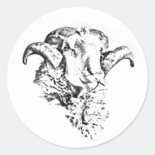 Funky Cute Sheep Ram Head Sketch Classic Round Sticker