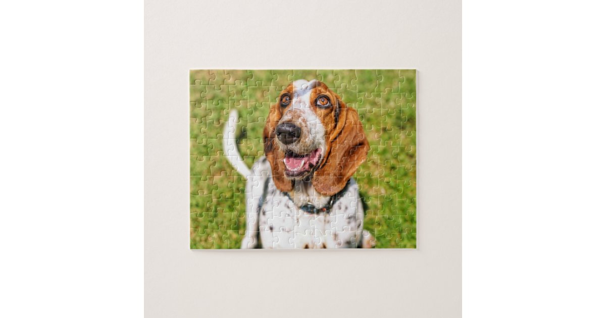 Basset Hound Dog puzzle, Hound dog puzzle, Basset hound dog puzzle