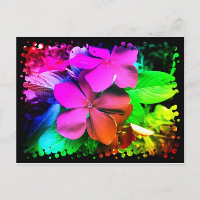 Funky Fun Flowers Postcard (Front)