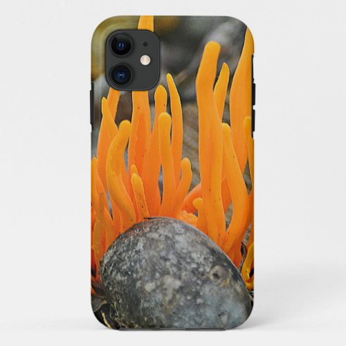 Funky Fungi iPhone Case