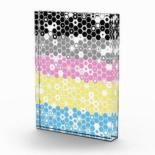 Funky Geometric Mod Abstract Polygender Pride Flag Acrylic Award