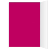 Funky Gerbera (Inside (Left))