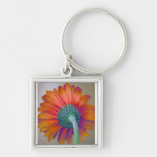 Funky Gerbera Keychain