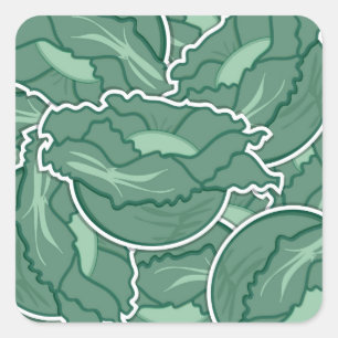 Funky green cabbage square sticker