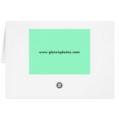 Funky Hands Cards (Back Horizontal)