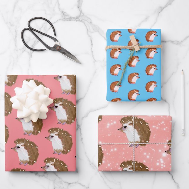 Funky hedgehog wrapping paper (Front)