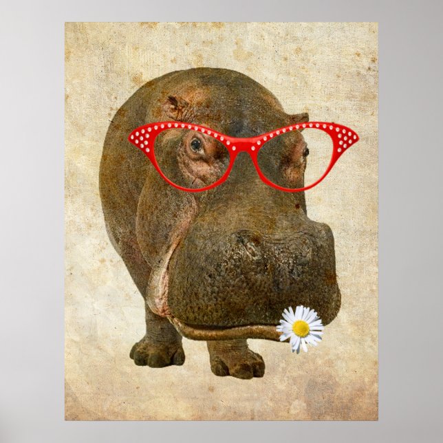 Funky Hippopotamus Poster! Poster (Front)