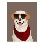 Funky Labrador Retriever for Dog Lovers Postcard