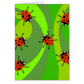 Funky Ladybugs (Front)