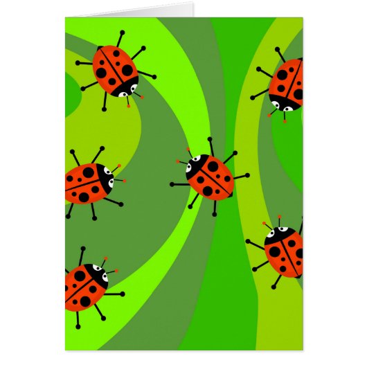 Funky Ladybugs Cards (Front)