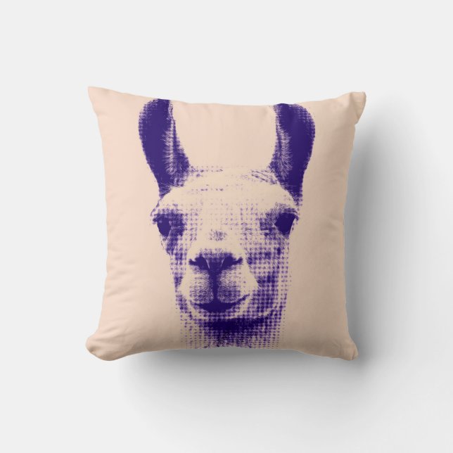 Funky Llama Pillow (Front)