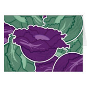 Funky mixed cabbage (Front Horizontal)