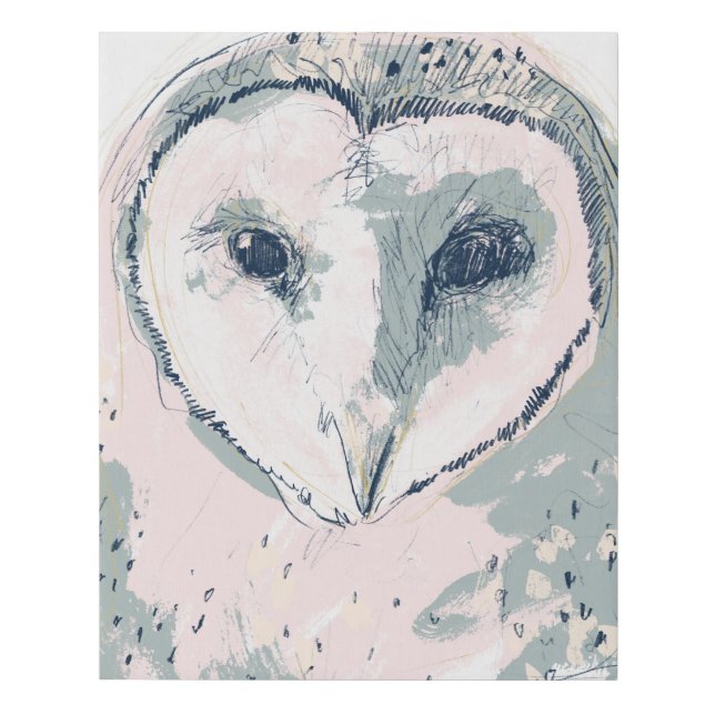 Funky Owl Portrait Faux Canvas Print (Front)