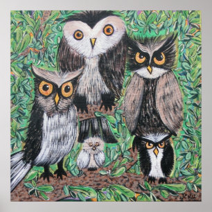 Funky Owls Acrylic Art  Poster