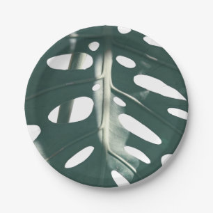 Funky Pale Green Swiss Cheese Plant Paper Plates