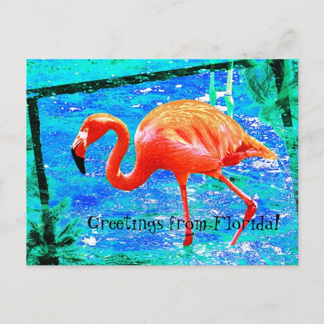 Funky pink Florida flamingo travel postcard (Front)