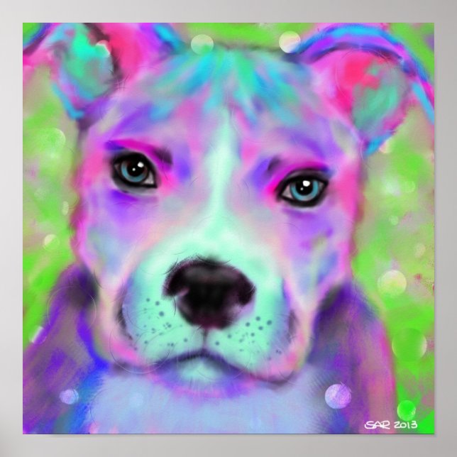 Funky Pitbull poster (Front)