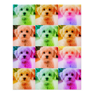 Funky pop art 80s style add your own photos poster