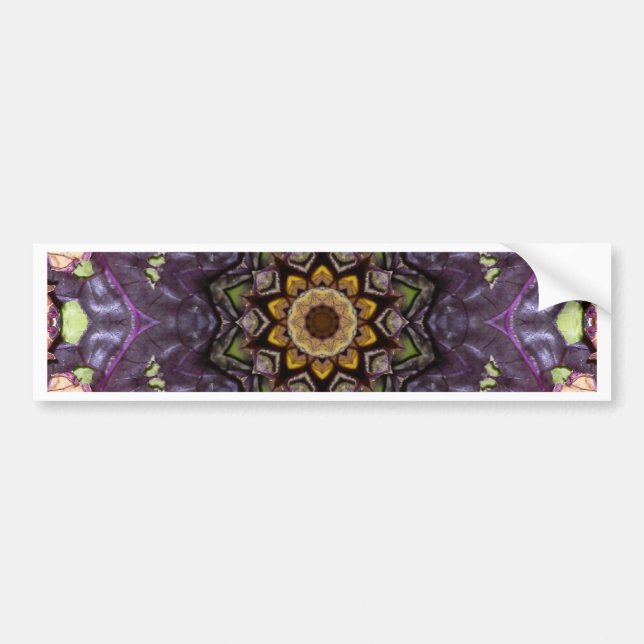 Funky, psychedelic, retro design. bumper sticker (Front)