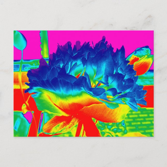 Funky Rainbow Multi Colored Flower Popart Postcard (Front)