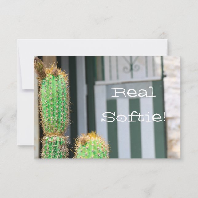 Funky Real Softie Green Cactus Flat Card (Front)