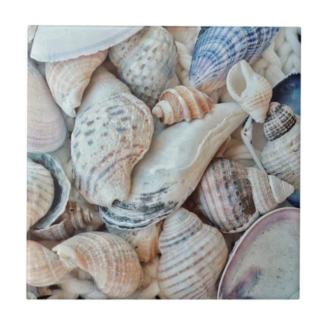 Funky Sea Shells Holiday Seaside Ceramic Tile (Front)