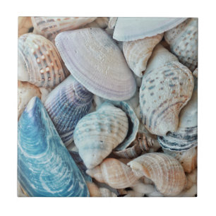 Funky Sea Shells Holiday Seaside Ceramic Tile