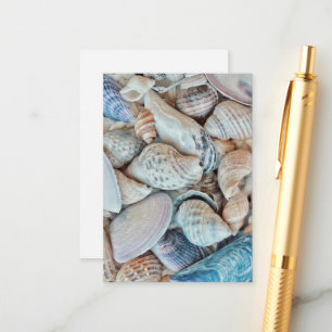 Funky Sea Shells Holiday Seaside Enclosure Card